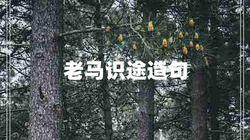 老馬識(shí)途造句