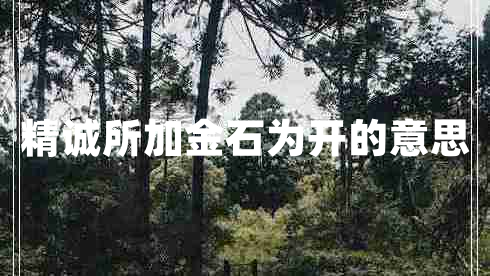 精誠所加金石為開的意思