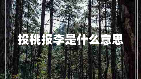 投桃報(bào)李是什么意思