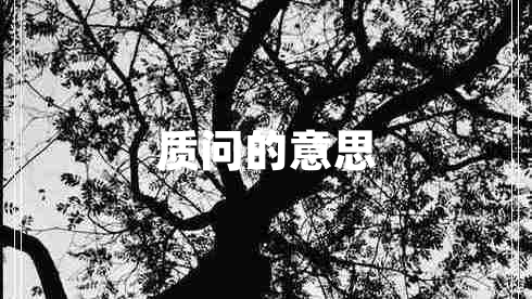 質(zhì)問的意思