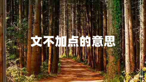 文不加點(diǎn)的意思