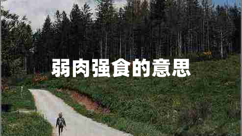 弱肉強(qiáng)食的意思