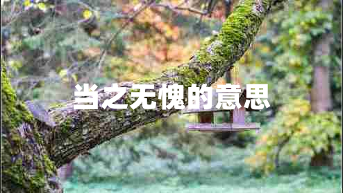 當之無愧的意思