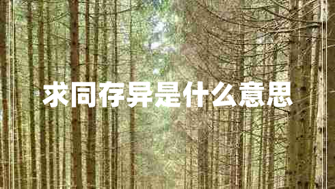 求同存異是什么意思