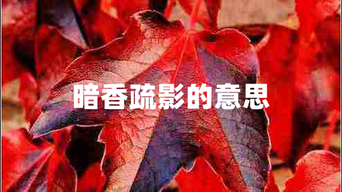 暗香疏影的意思