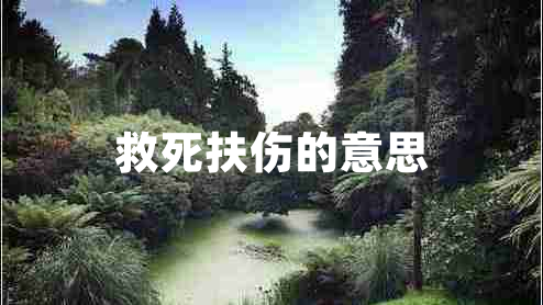 救死扶傷的意思