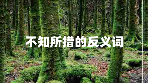 不知所措的反義詞