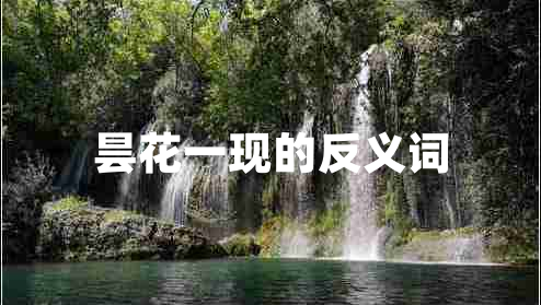 曇花一現(xiàn)的反義詞