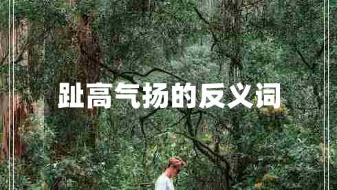 趾高氣揚(yáng)的反義詞