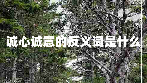 誠(chéng)心誠(chéng)意的反義詞是什么