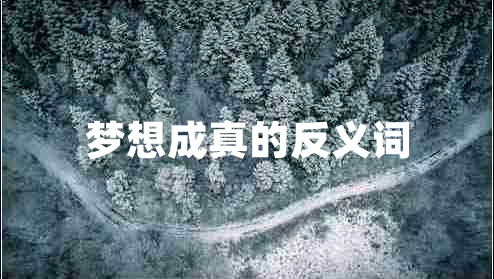 夢想成真的反義詞