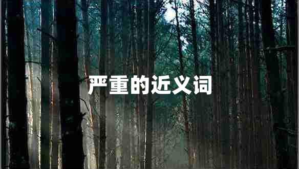 嚴重的近義詞