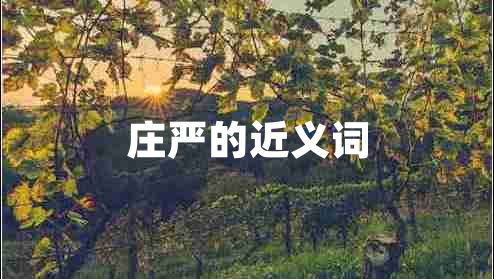 莊嚴的近義詞