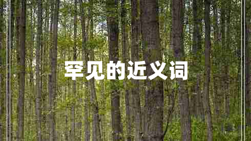 罕見(jiàn)的近義詞