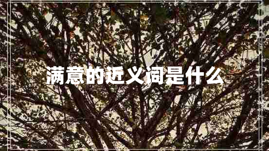 滿(mǎn)意的近義詞是什么