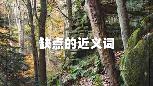缺點(diǎn)的近義詞
