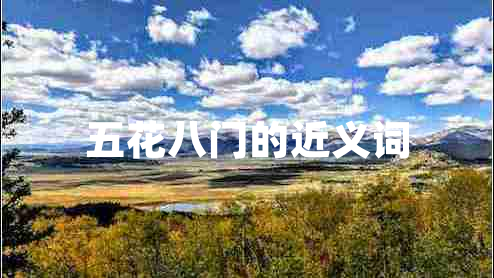 五花八門(mén)的近義詞
