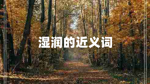 濕潤(rùn)的近義詞