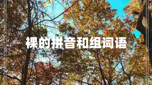 裸的拼音和組詞語(yǔ)