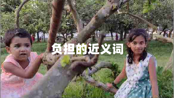 負(fù)擔(dān)的近義詞