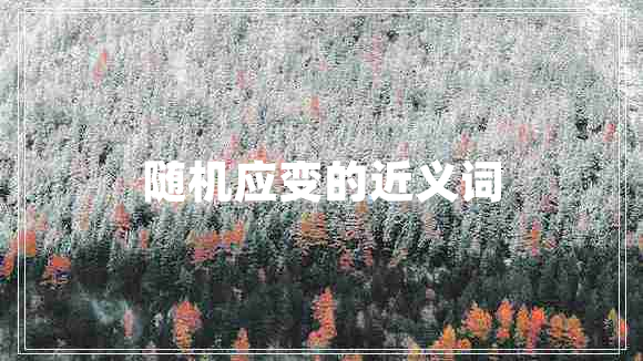 隨機應變的近義詞