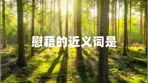 慰藉的近義詞是