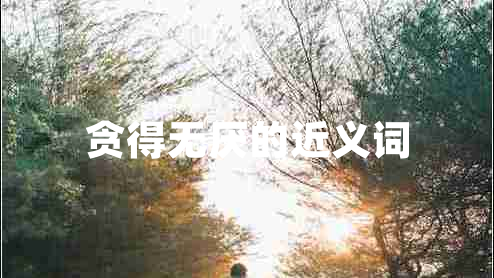 貪得無(wú)厭的近義詞