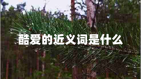 酷愛(ài)的近義詞是什么