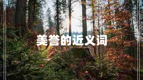 美譽的近義詞