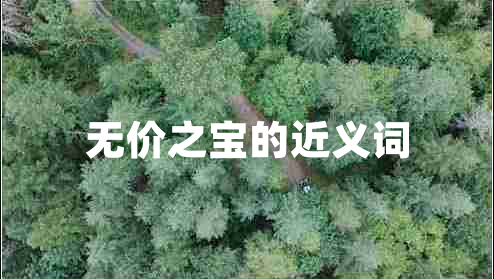 無價之寶的近義詞