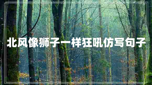 北風(fēng)像獅子一樣狂吼仿寫句子