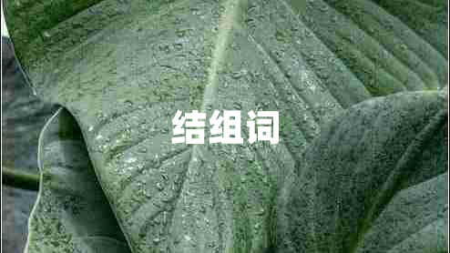 結組詞