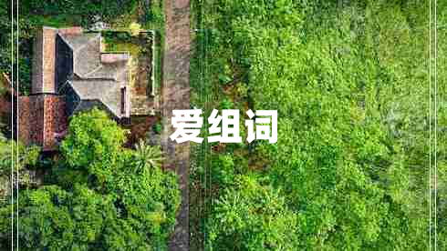 愛(ài)組詞