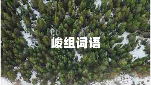 峻組詞語(yǔ)