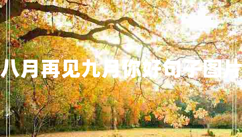 八月再見(jiàn)九月你好句子圖片