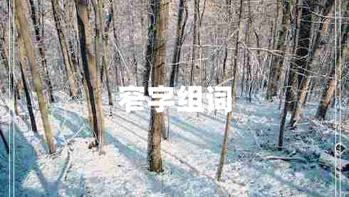 窄字組詞 窄字組詞