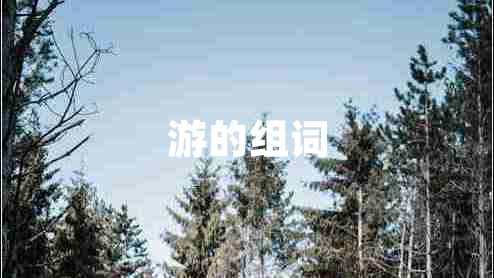 游的組詞 游的組詞