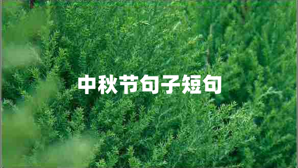 中秋節(jié)句子短句 中秋節(jié)句子短句