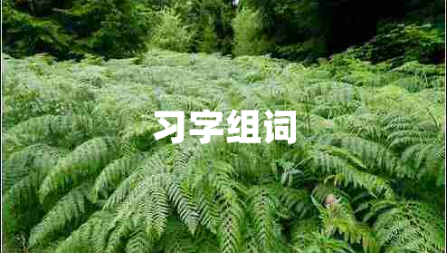 習(xí)字組詞