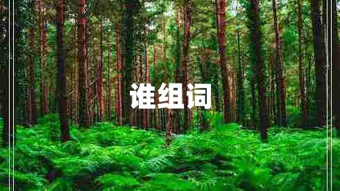 誰(shuí)組詞 誰(shuí)組詞