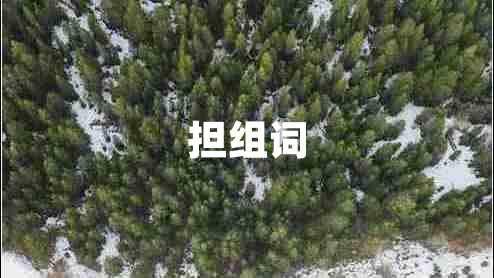 擔(dān)組詞