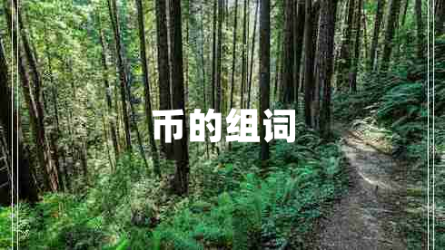 幣的組詞 幣的組詞