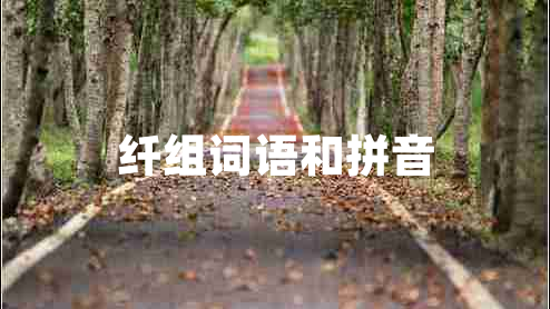 纖組詞語和拼音