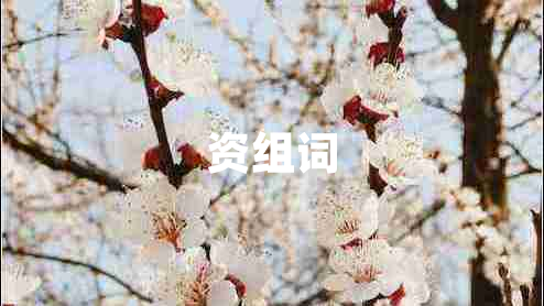 資組詞 資組詞