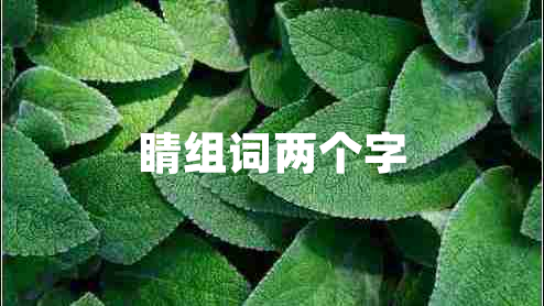 睛組詞兩個字
