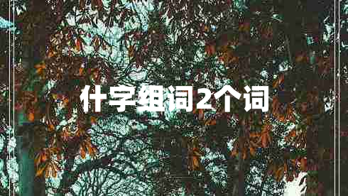 什字組詞2個詞