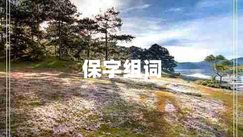 保字組詞
