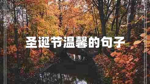 圣誕節(jié)溫馨的句子 圣誕節(jié)溫馨的句子