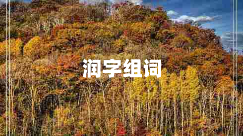 潤(rùn)字組詞