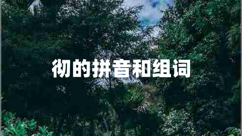 徹的拼音和組詞